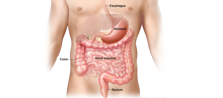 Gastrointestinal Oncology