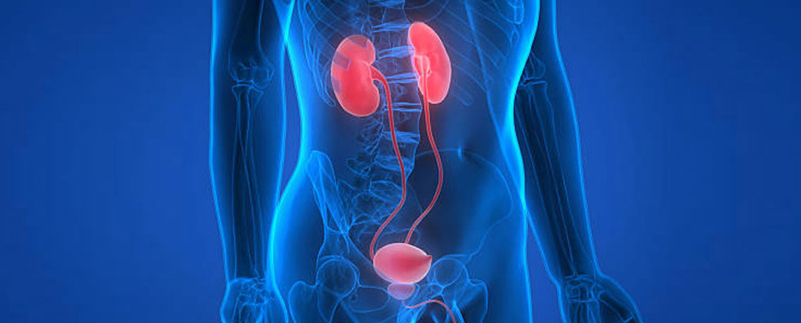 Genitourinary Cancer