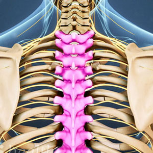 Thoracic Oncosurgery